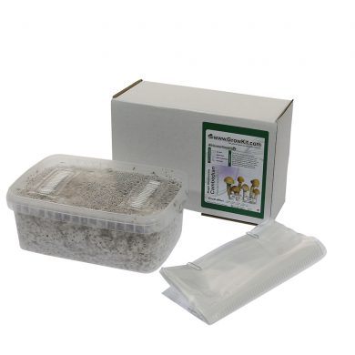 Cambodian Psilocybe Cambodiescens Magic Mushroom Grow kit (Medium - 1200cc)