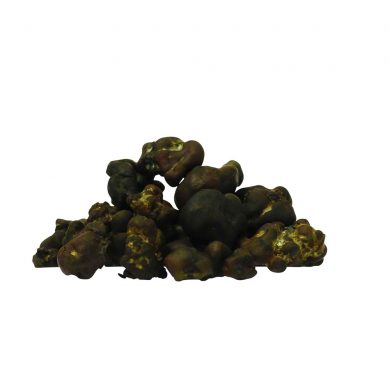 McSmart Tampanensis Psilocybe Magic Truffles