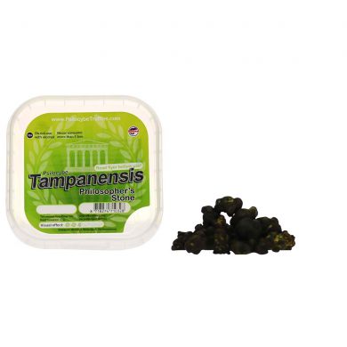 McSmart Tampanensis Psilocybe Magic Truffles