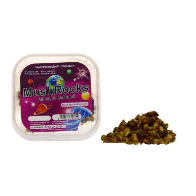 MushRocks Psilocybe Galindoii Magic Truffles