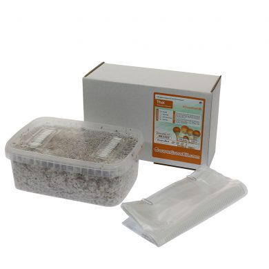 Thai Psilocybe Cubensis Magic Mushroom Grow kit (Medium - 1200cc)