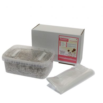 Mazatapec Psilocybe Mayiescens Magic Mushroom Grow kit (Medium - 1200cc)