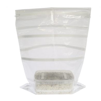 Mazatapec Psilocybe Mayiescens Magic Mushroom Grow kit (Medium - 1200cc)