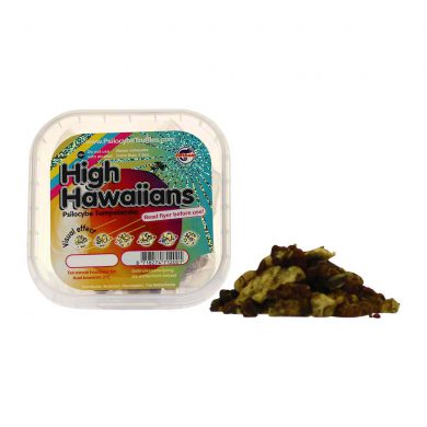 High Hawaiians Psilocybe Tampelandia Magic Truffles