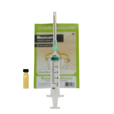 Mexican Spore Syringe Stropharia Cubensis Culture Ampoule McSmart