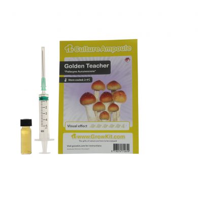 Golden Teacher Spore Syringe Aurumescens Psilocybe Culture Ampoule Magic Mushroom Spores