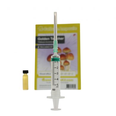 Golden Teacher Spore Syringe Aurumescens Psilocybe Culture Ampoule Magic Mushroom Spores