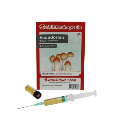 Ecuadorian Spore Syringe Stropharia Cubensis Culture Ampoule Magic Mushroom Spores