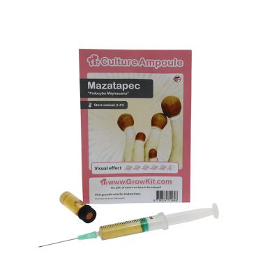 Mazatapec Spore Syringe Mayiescens Psilocybe Mayiescens Culture Ampoule Magic Mushroom Spores