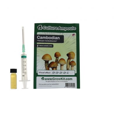 Cambodian Spore Syringe Cambodiescens Psilocybe Cambodiescens Culture Ampoule Magic Mushroom Spores