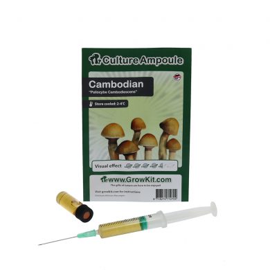Cambodian Spore Syringe Cambodiescens Psilocybe Cambodiescens Culture Ampoule Magic Mushroom Spores