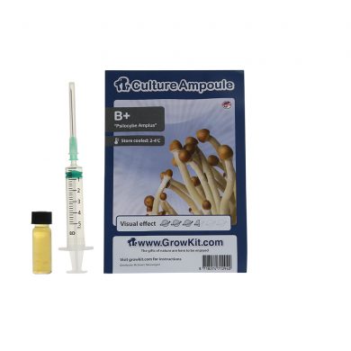 B+ Spore Syringe Amplus Psilocybe Culture Ampoule Magic Mushroom Spores