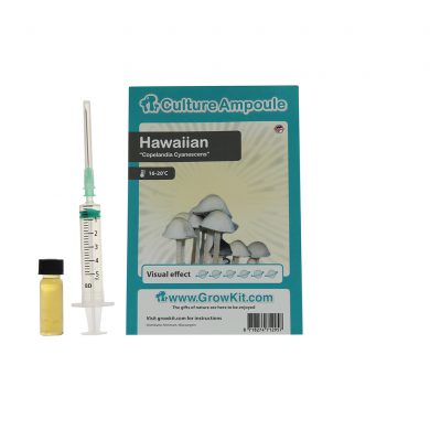 Magic Mushroom Spore Syringes