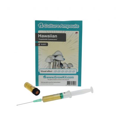 Hawaiian Spore Syringe Copelandia Cyanescens Culture Ampoule Magic Mushroom Spores