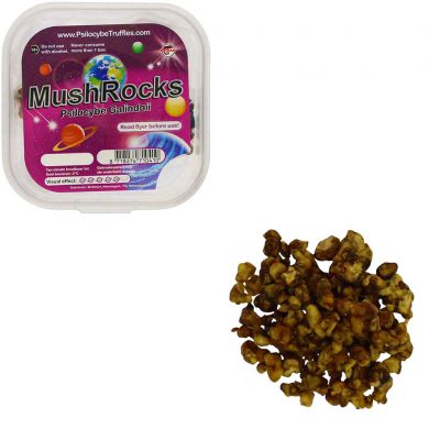 MushRocks Magic Truffels (Psilocybe Galindoii) Smartific.com