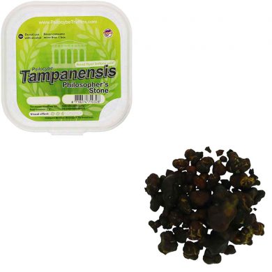 McSmart Tampanensis Psilocybe Magic Truffles