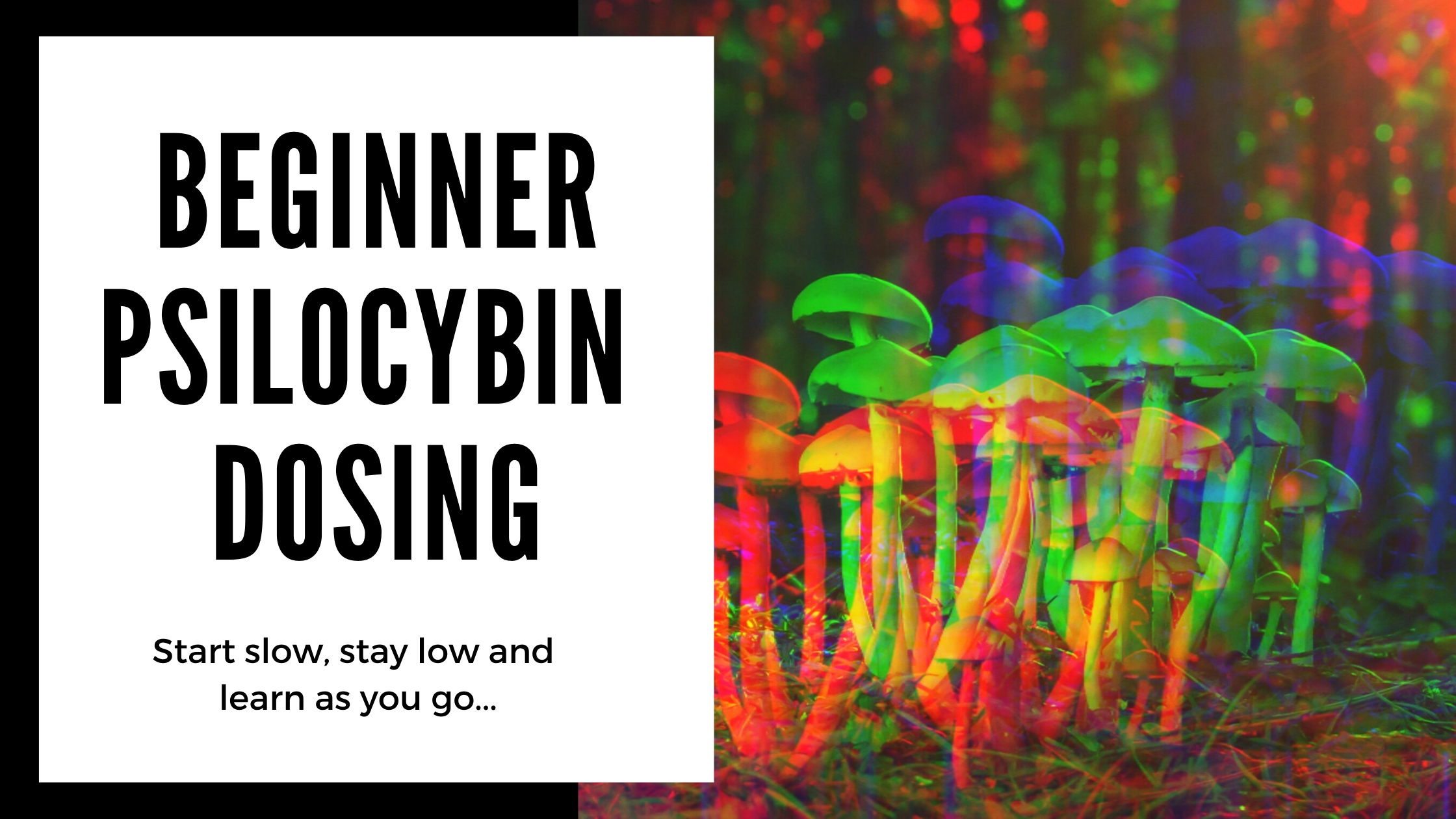 what is beginner magic mushroom dosing