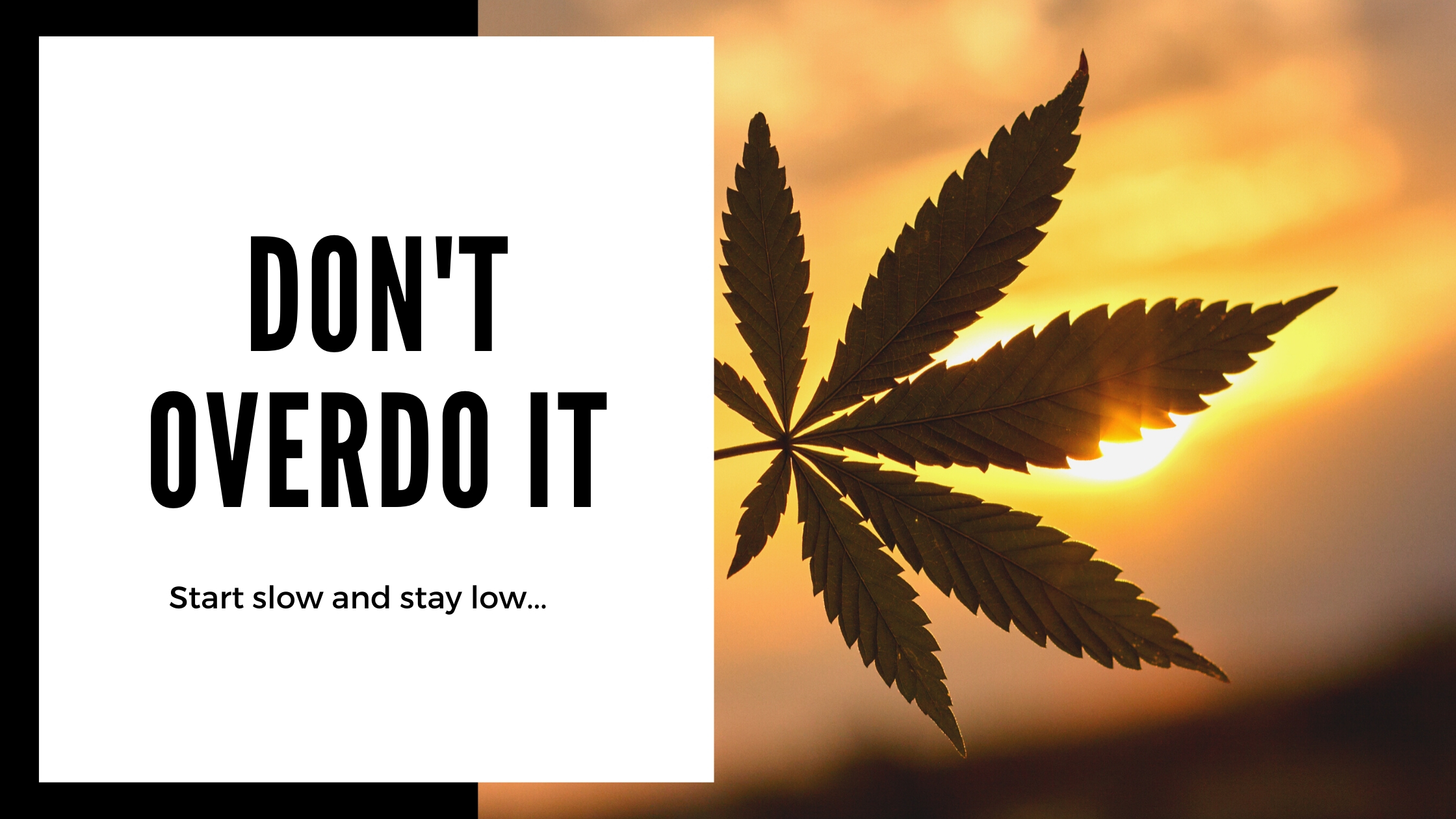 responsible cannabis use