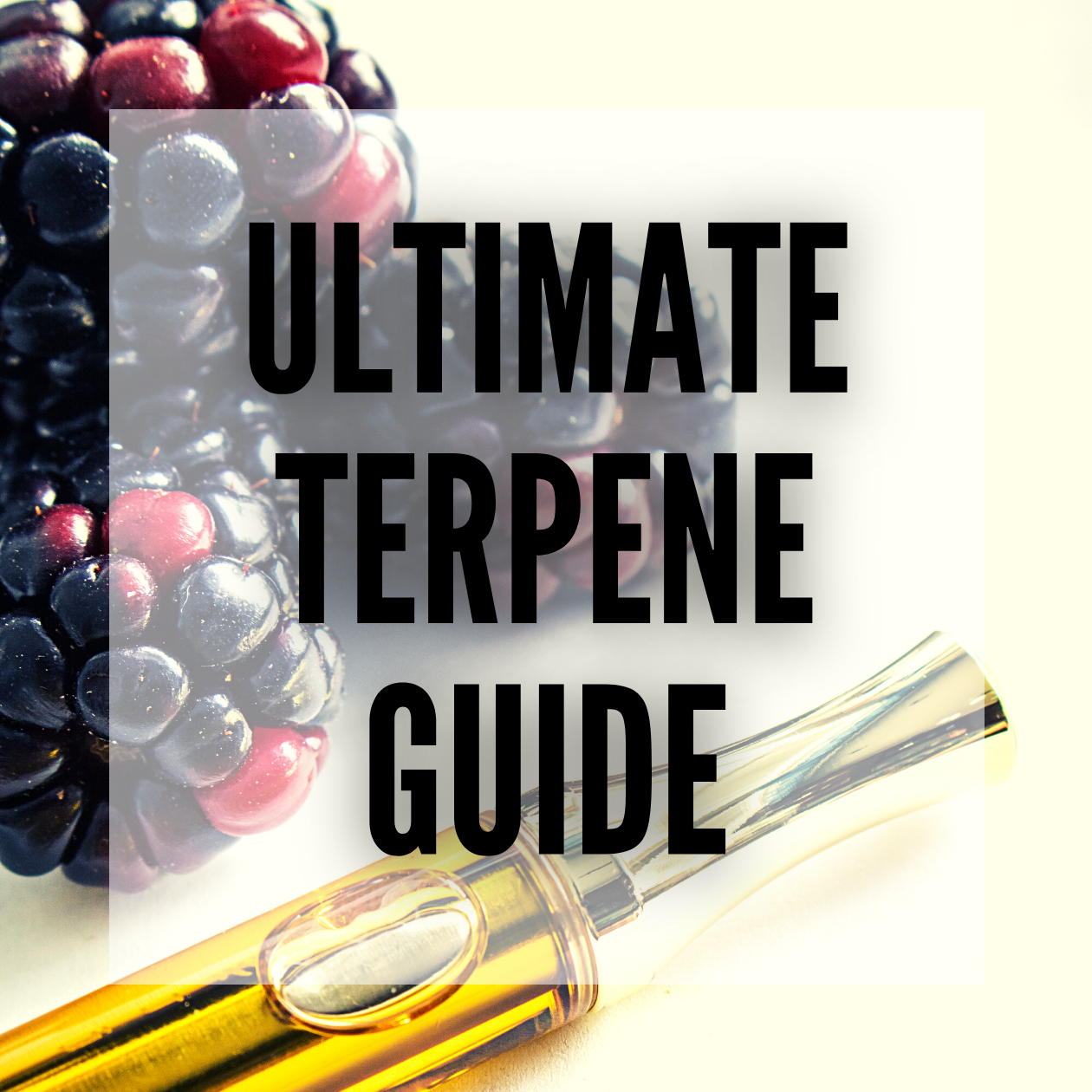 cannabis terpines ultimate guide smartific online smartshop cannabis seed webshop