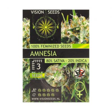 ? Vision Seeds Feminized Cannabis Seeds AMNESIA Smartific 2014219