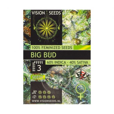 ? Vision Seeds Feminized Cannabis Seeds BIG BUD Smartific 2014223