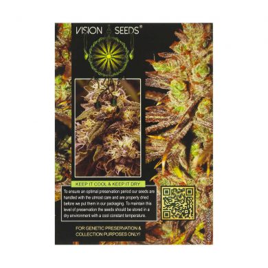 ? Vision Seeds Feminized Cannabis Seeds CHOCO BUD Smartific 2014236/2014235