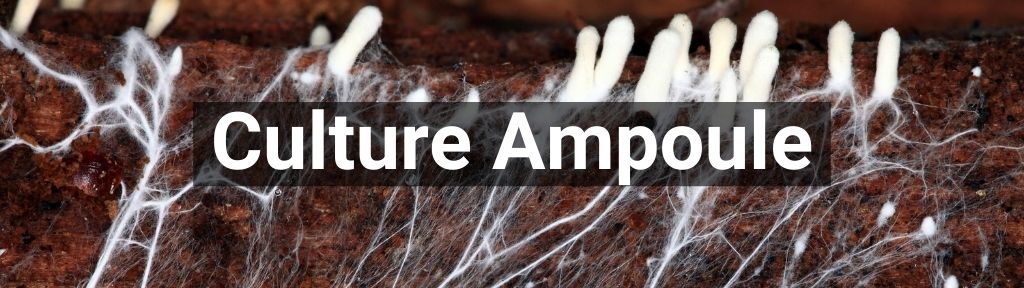 ✅ All high-quality Culture Ampoule from Smartific.com