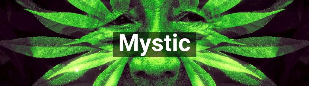 ✅ All high-quality Mystic from Smartific.com