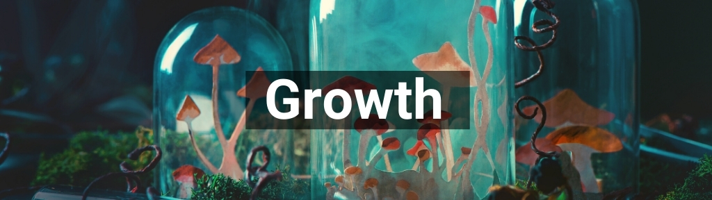 ✅ All high-quality Growth products from Smartific.com