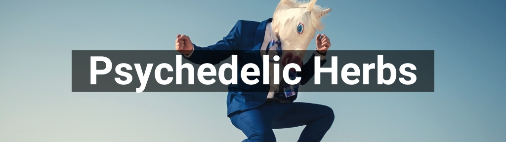 ✅ All high-quality Psychedelic Herbs from Smartific.com