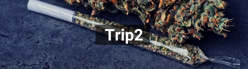 ✅ All high-quality Trip2 products from Smartific.com
