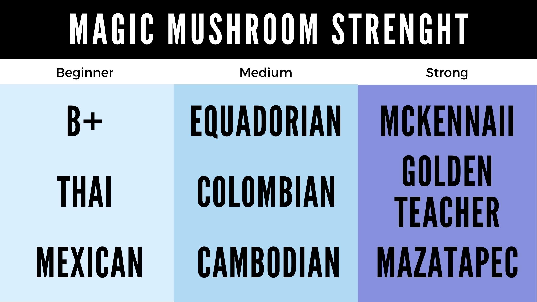 Magic Mushroom Grow Kit strength chart for beginners, medium and strong magic mushrooms