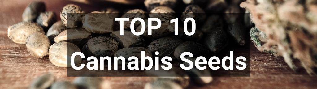 ✅ Top 10 Grinders from Smartific.com