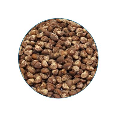 Baby Hawaiian Woodrose 10 seeds contents McMystic