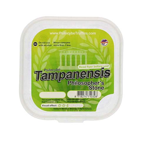 Tampanensis Philosopher's stone