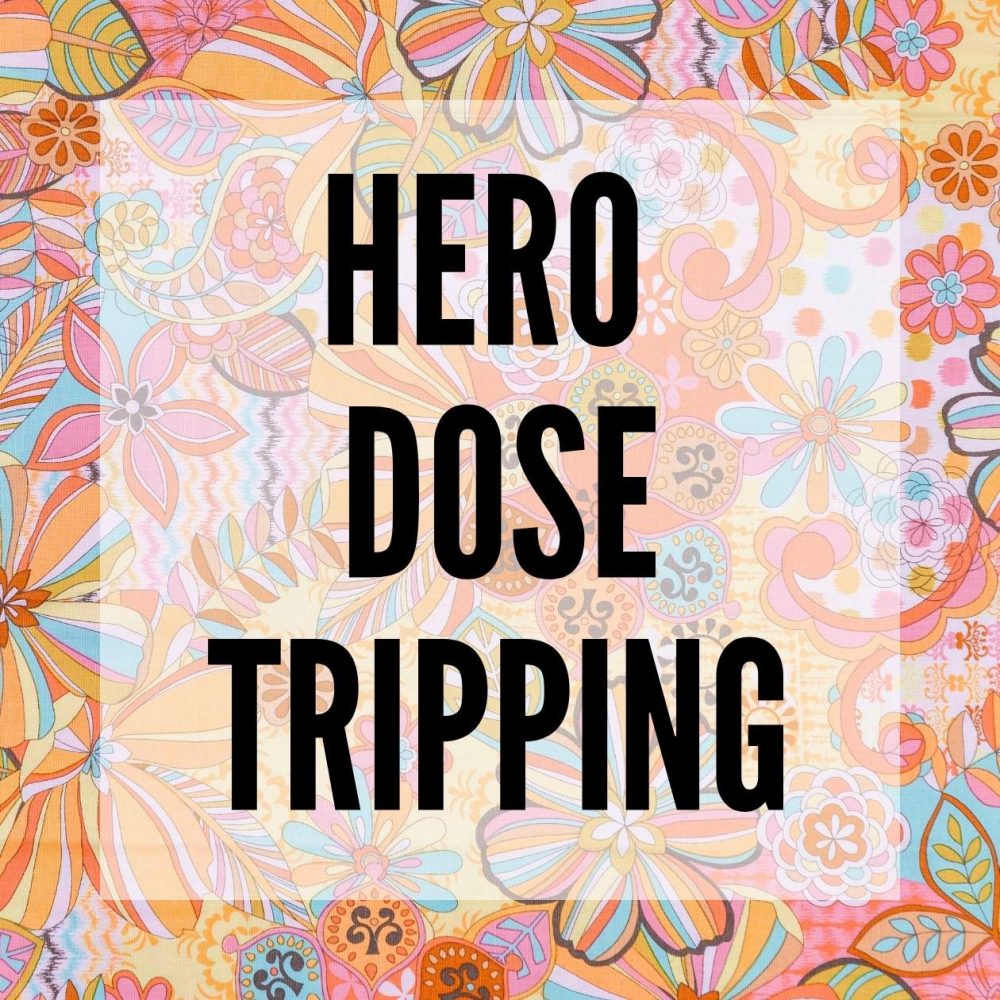 magic truffles hero dose tripping