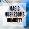 magic mushrooms humidity