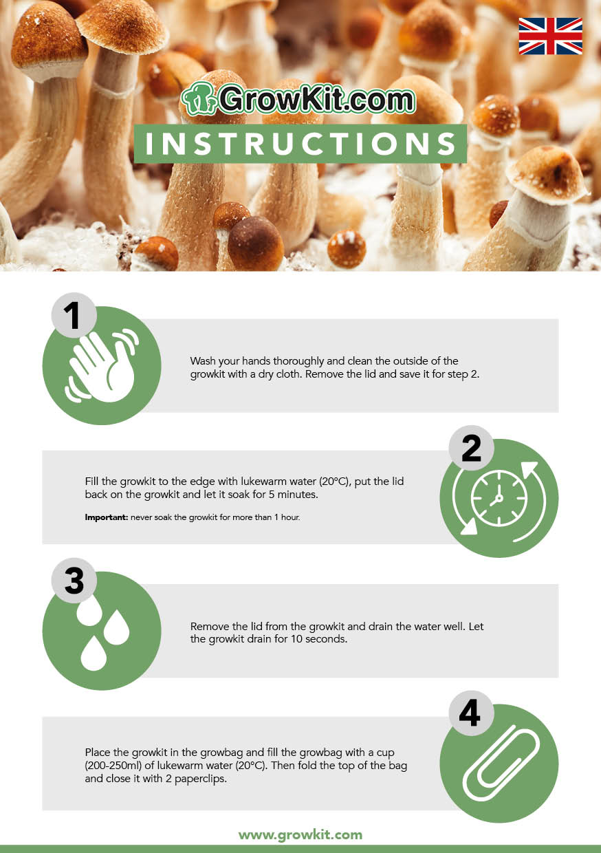 Magic mushroom grow kit instructions front Smartific