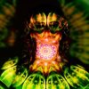 The relationship between psychedelic experiences and creativity