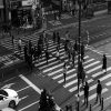 Integrating psychedelic experiences into everyday life