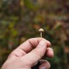 The science behind microdosing explained