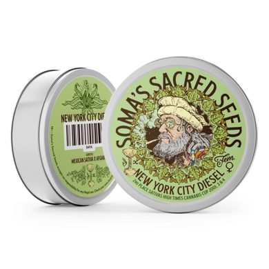 New York City Diesel Can Front View Soma Sacred Seeds