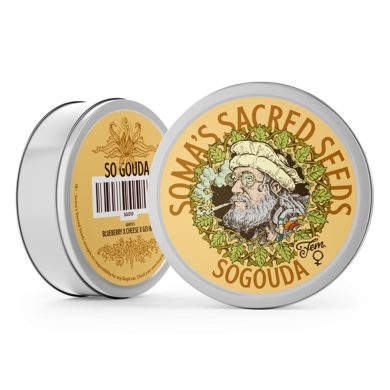 SoGouda Can Front View Soma Sacred Seeds